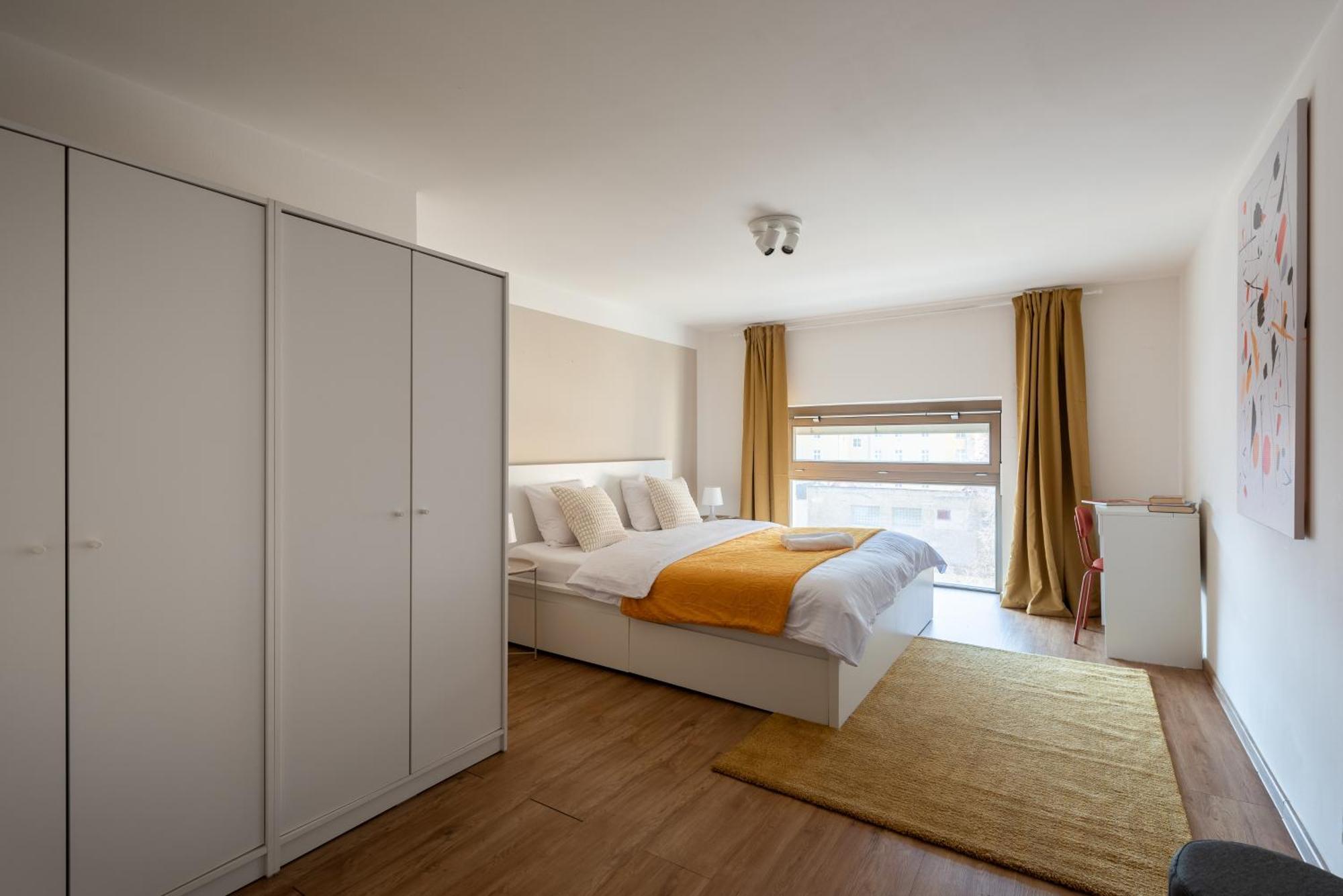 Spacious Near Karlin Square * Praga