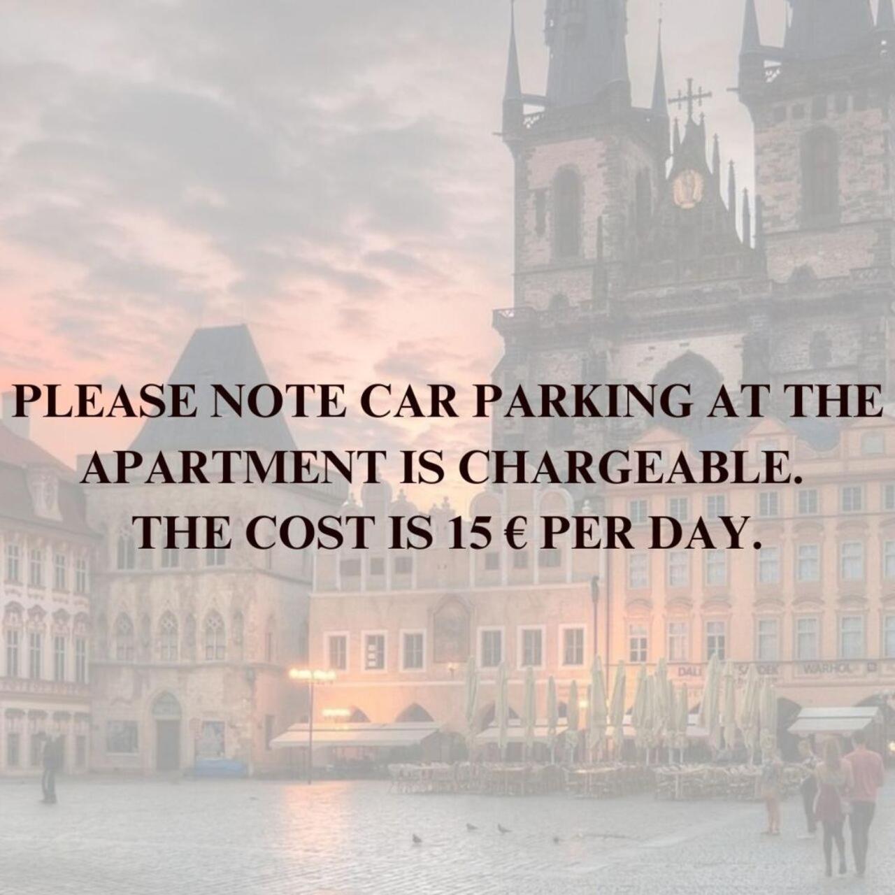 Spacious Near Karlin Square * Praga